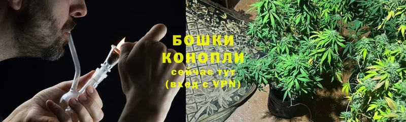 Бошки Шишки THC 21%  наркотики  Ворсма 